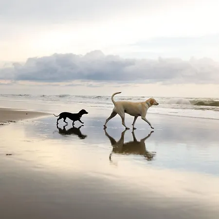 Bay - Hot Tub Hire At Additional Cost Available - Near And Village Cayton